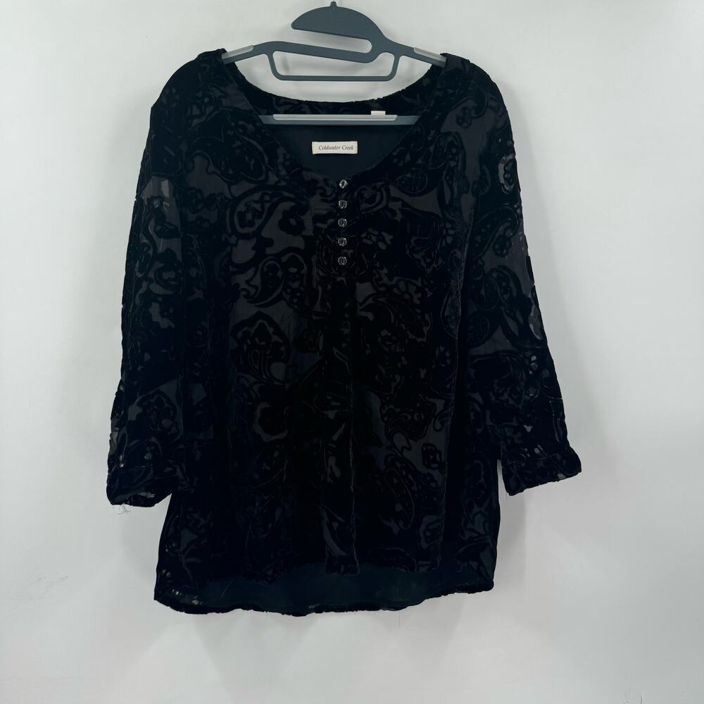 Coldwater Creek Burnout velvet 3/4 sleeve blouse